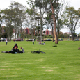 Universidad Nacional de Colombia